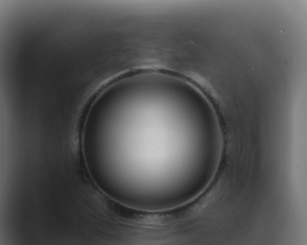 X0000089741167200706281602