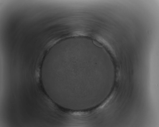 X0000089741169200706281602