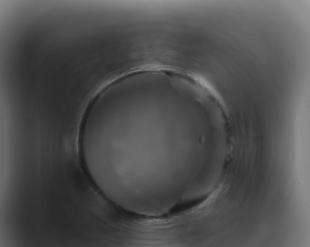 X0000089741173200706281602