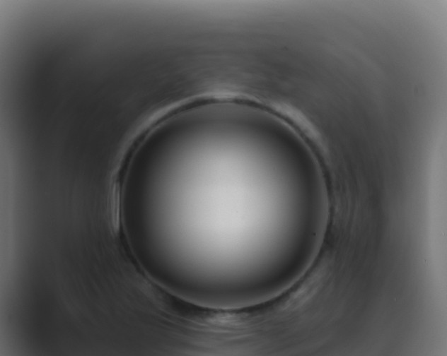 X0000089741175200706281602
