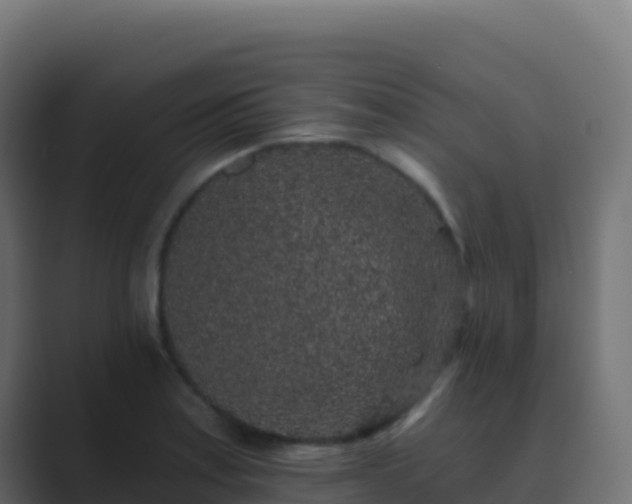 X0000089741179200706281602