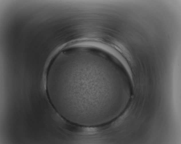 X0000089741180200706281602