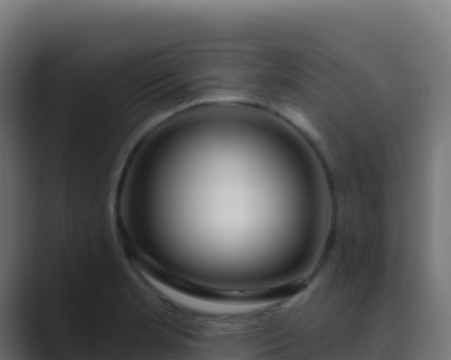 X0000089741181200706281602