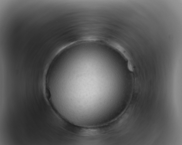 X0000089741187200706281601