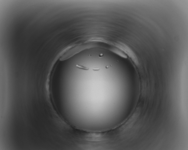 X0000089741190200706281601