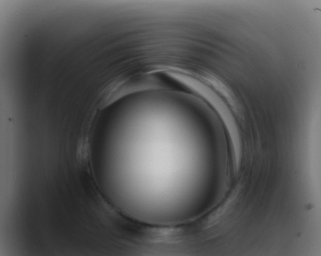 X0000089741193200706281601