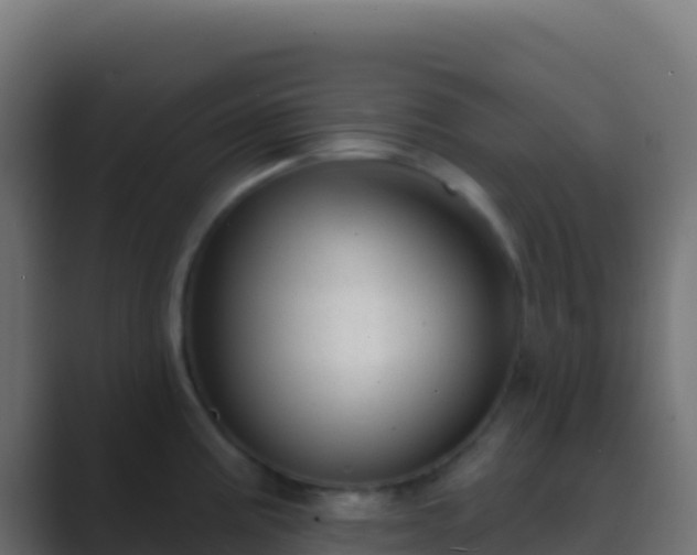 X0000089741195200706281601