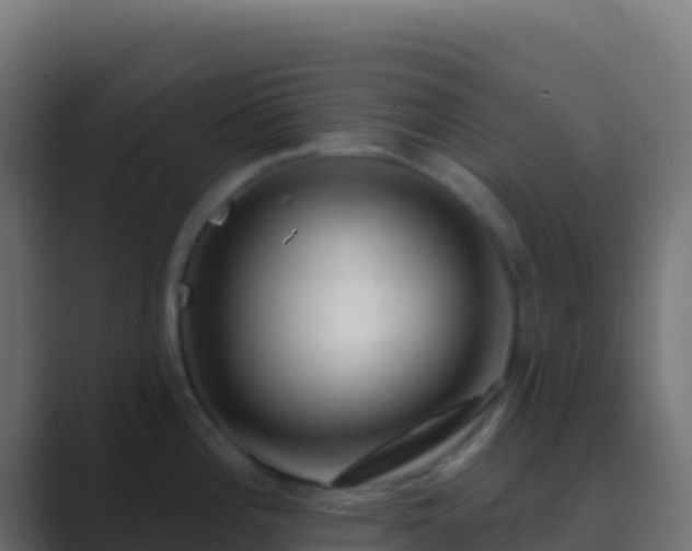 X0000089741196200706281601