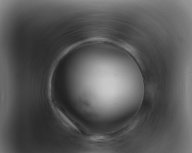 X0000089741199200706281601