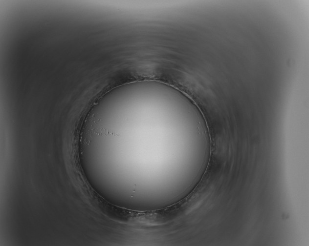 X0000089741201200706281601