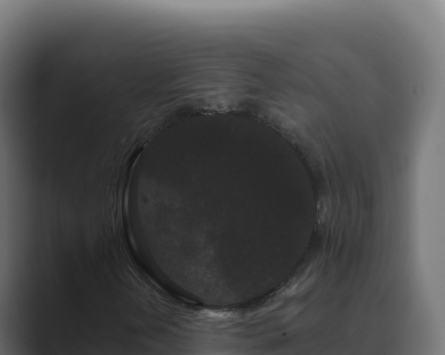 X0000089741202200706281601