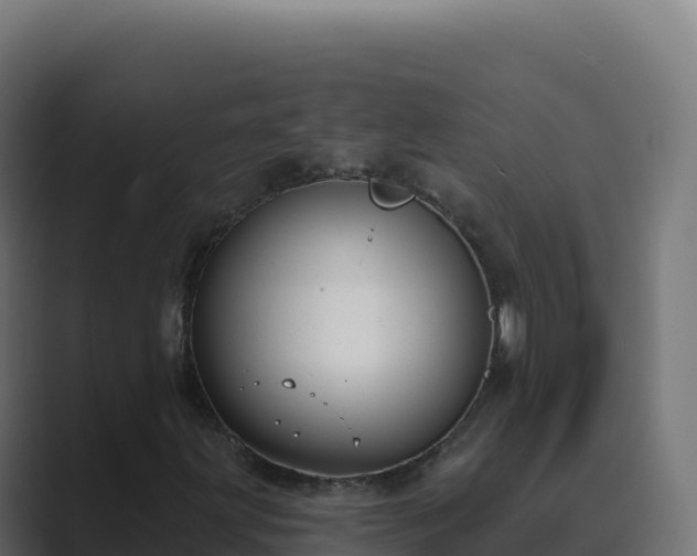 X0000089741203200706281601