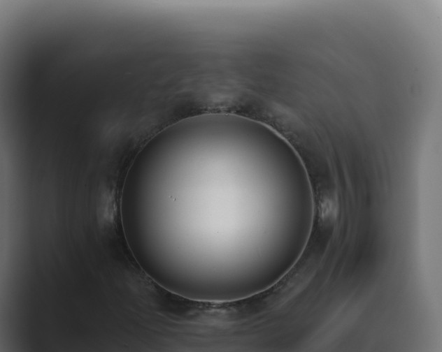 X0000089741204200706281601