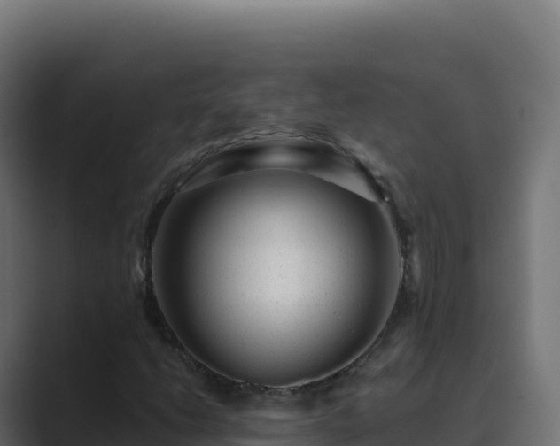 X0000089741206200706281601