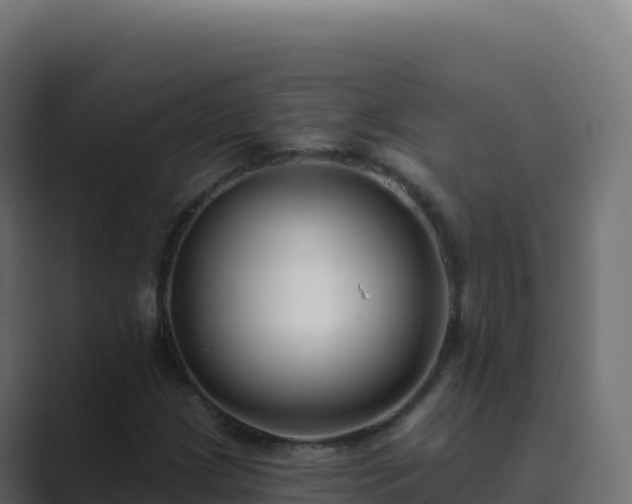 X0000089741209200706281601