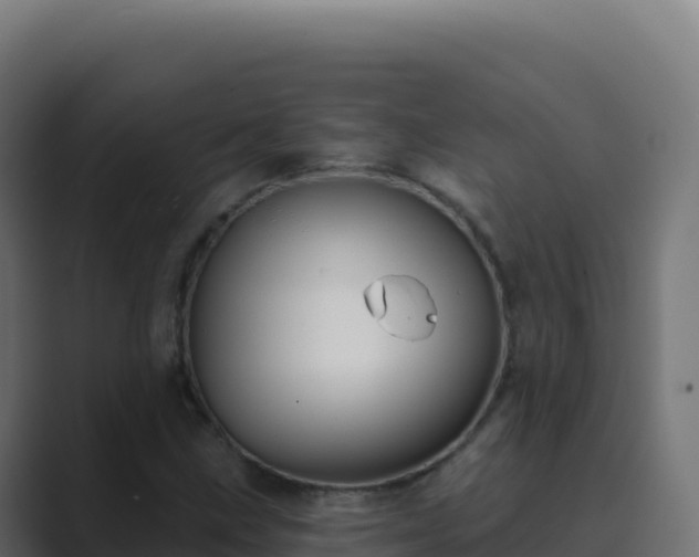 X0000089741211200706281601