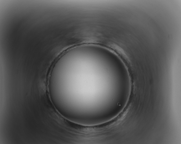 X0000089741212200706281601