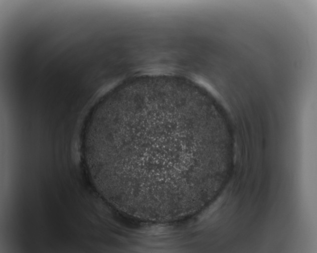 X0000089741213200706281601