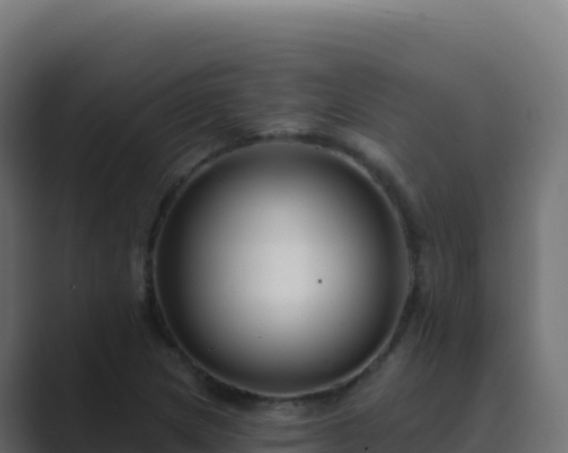 X0000089741217200706281601