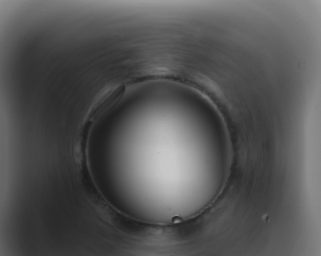 X0000089741218200706281601