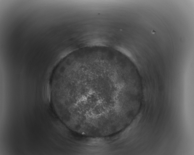 X0000089741219200706281601