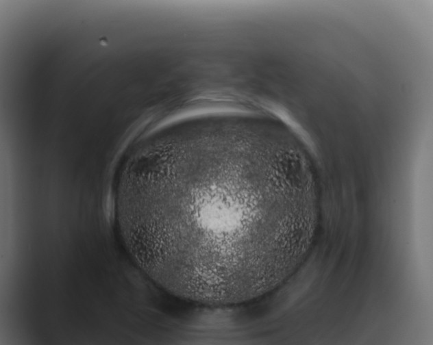 X0000089741221200706281601