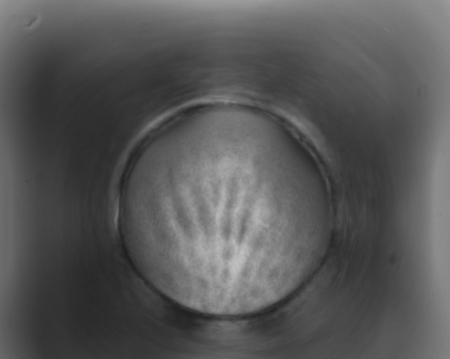 X0000089741224200706281601