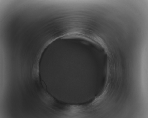 X0000089741226200706281601