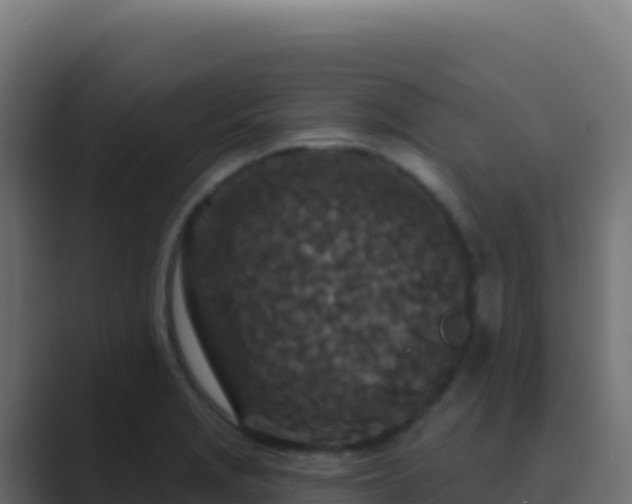X0000089741229200706281601