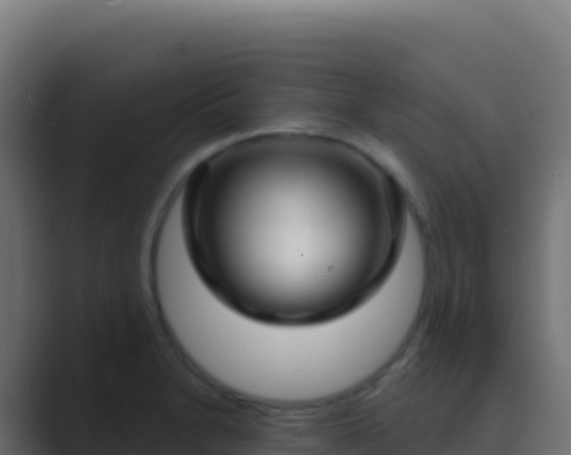 X0000089741230200706281601