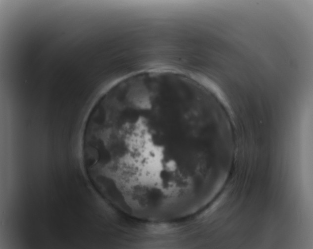 X0000089741231200706281601