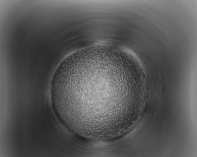 X0000089741235200706281601