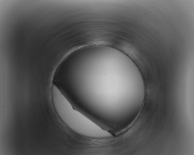 X0000089741236200706281601
