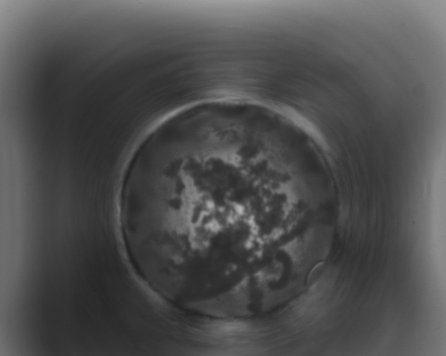 X0000089741239200706281601