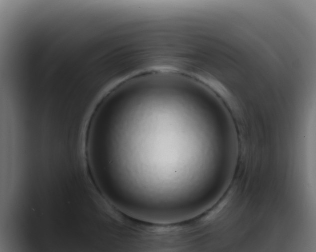 X0000089741240200706281601