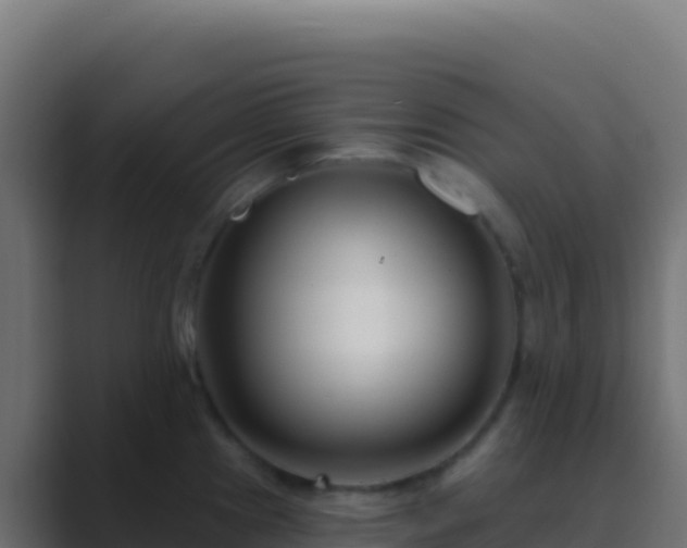 X0000089741241200706281601