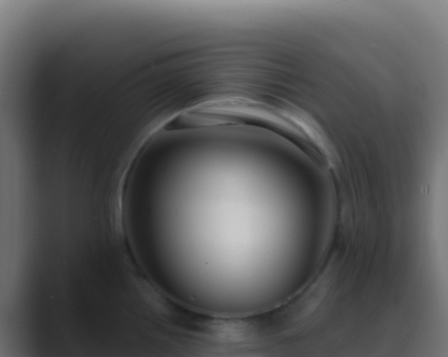 X0000089741242200706281601