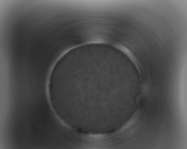 X0000089741243200706281601