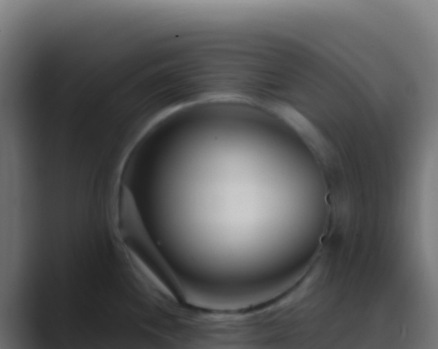 X0000089741244200706281601
