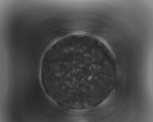X0000089741245200706281601