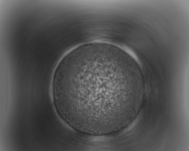 X0000089741247200706281601