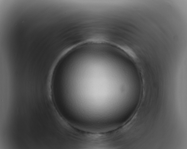 X0000089741248200706281601
