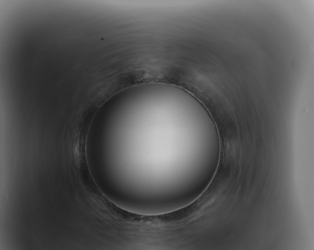 X0000089741250200706281601
