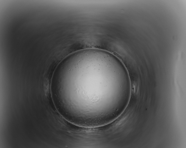 X0000089741251200706281601