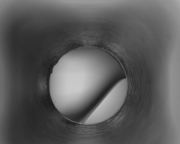 X0000089741252200706281601