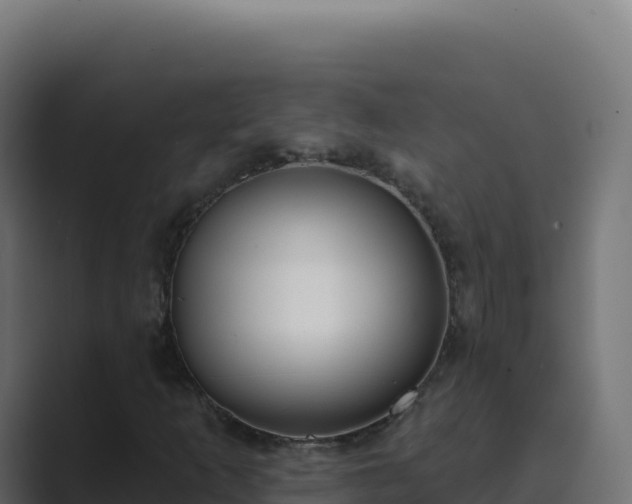 X0000089741253200706281601