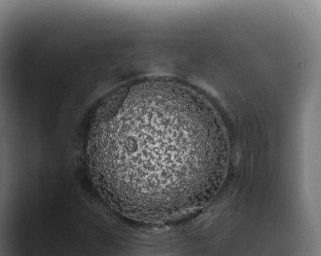 X0000089741255200706281601