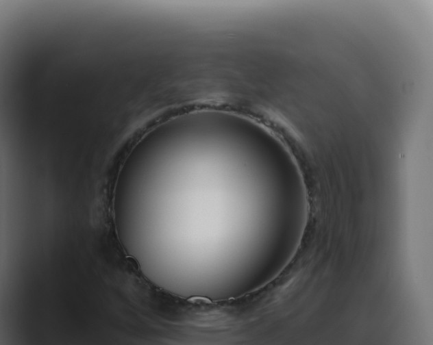 X0000089741256200706281601