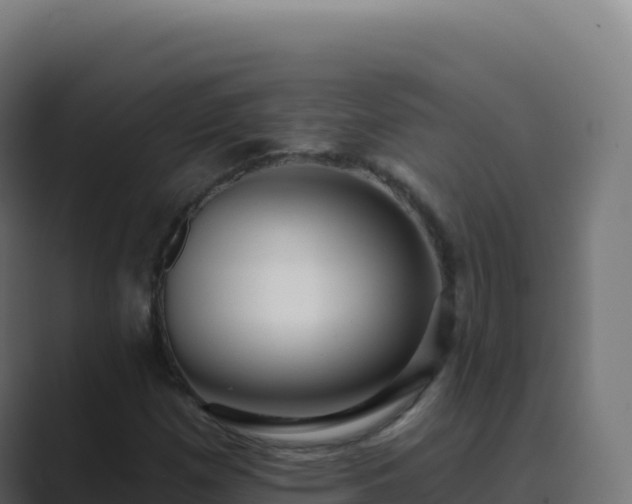 X0000089741257200706281601