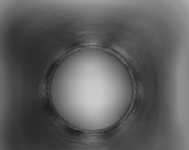X0000089741258200706281601